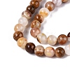Natural Wood Lace Stone Wooden Jasper Beads Strands G-B128-A04-01-4