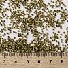 MIYUKI Round Rocailles Beads SEED-G009-RR4512-3
