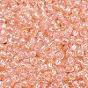 TOHO 11/0 Round Beads SEED-TR11-0169-2