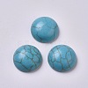 Synthetic Turquoise Cabochons G-TAC0001-01H-2