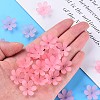 Transparent Acrylic Beads LS-MACR-S373-107-D05-6