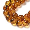 Natural Amber Beads Strands G-K387-D02-02-3