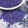 MIYUKI Delica Beads SEED-X0054-DB1569-1