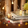 18Pcs 3 Style Arch Glass Dome Cover FIND-PH0008-78-5