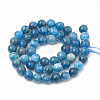 Natural Apatite Beads Strands G-S333-7.5mm-012-3
