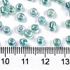 8/0 Glass Seed Beads SEED-A016-3mm-216-3