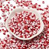 Baking Paint Glass Seed Beads X1-SEED-F006-01A-06-2