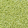 MIYUKI Delica Beads Small X-SEED-J020-DBS0169-3