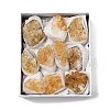 Natural Citrine Display Decorations G-H084-02B-1