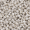 50G Glass Seed Beads SEED-PA0001-36C-01-7