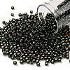 TOHO 8/0 Round Beads X-SEED-TR08-2209-1