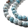 Natural Gemstone Beads Strands G-F730-02A-4
