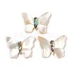 Natural White Shell & Paua Shell Cabochons SSHEL-I026-27-1