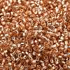 Glass Seed Beads X-SEED-S042-04B-17-3