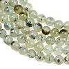 Natural Prehnite Beads Strands GG-CBA7D2C-A01-6mm-3