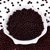 FGB Transparent Glass Seed Beads SEED-N013-01A-02-2