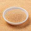 MIYUKI Round Rocailles Beads X-SEED-G009-RR0282-2