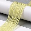 Transparent Glass Beads Strands GLAA-H021-03-04-3