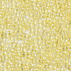 Glass Seed Beads X-SEED-S042-11A-05-3