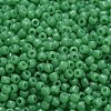 TOHO 3/0 Round Beads X-SEED-TR03-0156-4