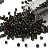 TOHO 6/0 Round Beads X-SEED-TR06-2204-1