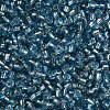 8/0 Glass Seed Beads SEED-US0003-3mm-23-2