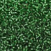 MIYUKI Delica Beads SEED-X0054-DB0046-3