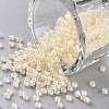 12/0 FGB Grade A Round Glass Seed Beads SEED-N001-F-252-1