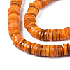 Natural Freshwater Shell Beads Strands BSHE-I016A-01G-3