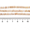 Natural Freshwater Shell Beads Strands SHEL-P017-01B-10-4