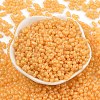 Baking Paint Glass Seed Beads SEED-L011-09A-04-2