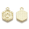 Alloy Pendants PALLOY-N157-003O-NR-3
