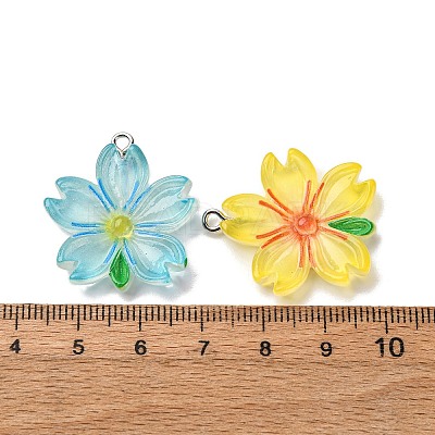 Transparent Resin Pendants RESI-A046-05H-1