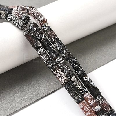 Natural Weathered Agate Beads Strands G-Q169-A04-02-1