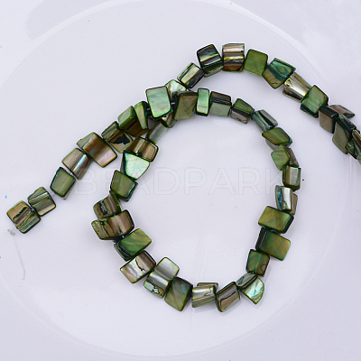 Natural Shell Beads Strands X-PBB050Y-1