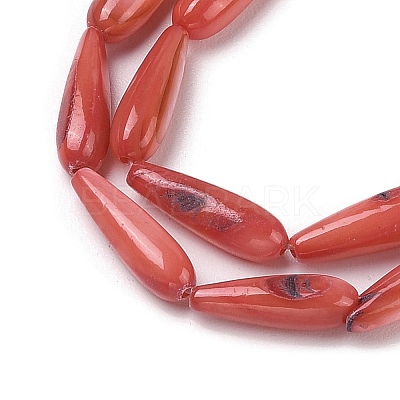 Natural Freshwater Shell Beads Strands SHEL-A004-03F-1