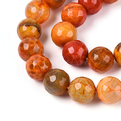 Dyed & Heated Natural Fire Crackle Agate Beads Strands G-N359-01B-09-1