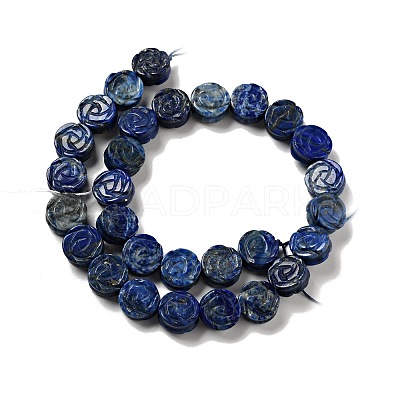 Natural Lapis Lazuli Beads Strands G-D475-01F-1