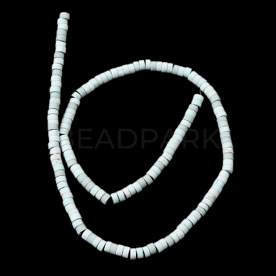 Dyed Synthetic Turquoise Beads Strands G-Z089-A04-C-1