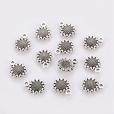 Tibetan Style Alloy Charms LF10257Y-NF-1