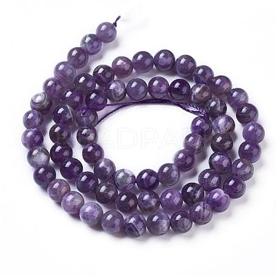 Natural Amethyst Round Bead Strands G-L170-6mm-03-1