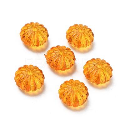 Autumn Theme Transparent Acrylic Beads X-PL712Y-5-1