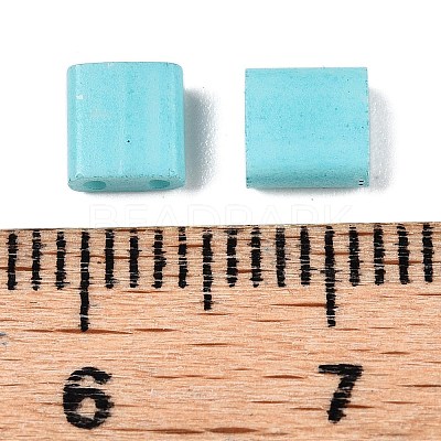 2-Hole Baking Paint Glass Seed Beads SEED-S023-17C-05-1