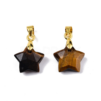 Natural Tiger Eye Charms G-N326-142-01-1