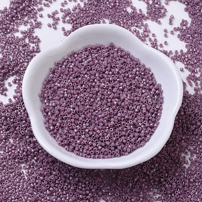 MIYUKI Delica Beads X-SEED-J020-DB0265-1