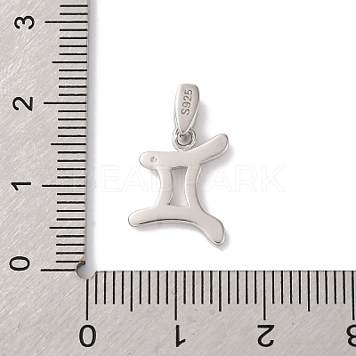 925 Sterling Silver Micro Pave Clear Cubic Zirconia Pendants STER-H117-01P-03-1
