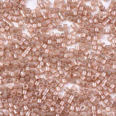 FGB 11/0 Grade A Baking Paint Glass Seed Beads X-SEED-S030-1145-1