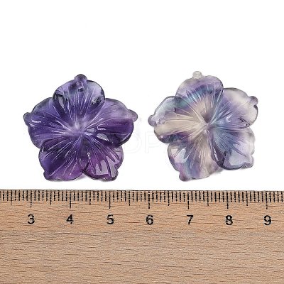 Natural Colorful Fluorite Carved Pendants G-B097-01A-16-1