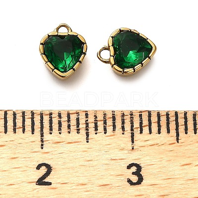 304 Stainless Steel Pendants STAS-H438-15G-01-1
