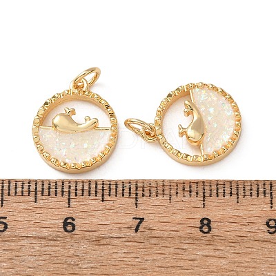 Brass Resin Pendants RE-H001-01G-01-1